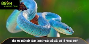 69vn chỉ bạn nằm mơ thấy rắn đánh con gì