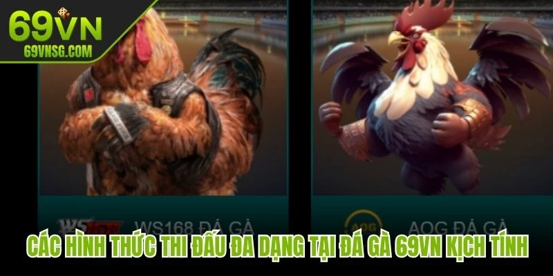 Các hình thức thi đấu đa dạng tại đá gà 69VN kịch tính